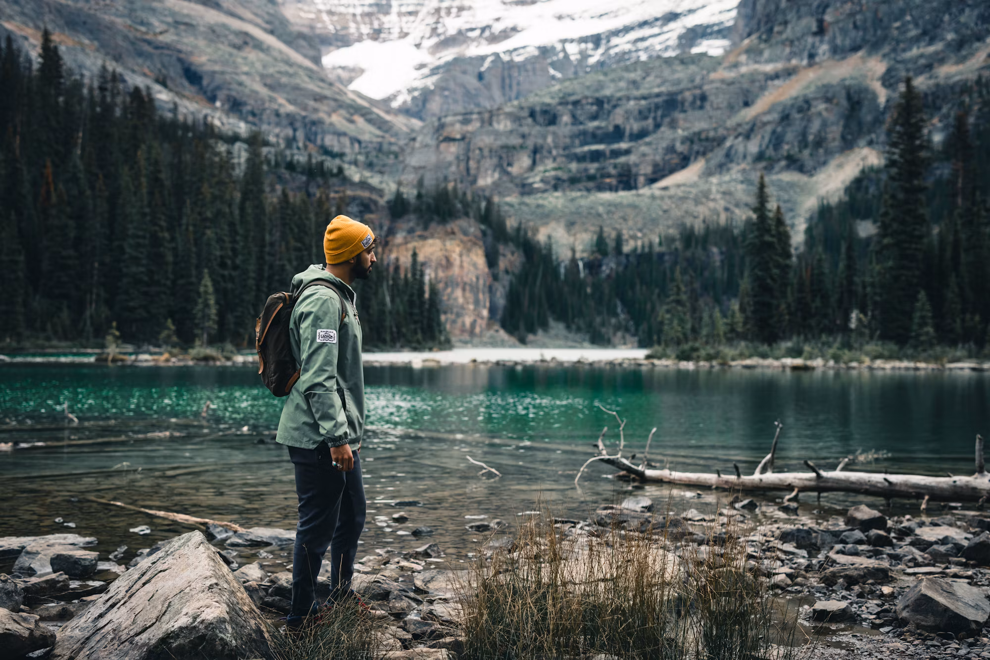 Exploring the World of Fermentation: A Delicious Journey